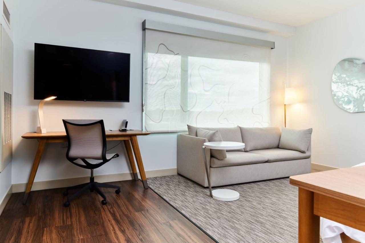 King Studio with Sofa Bed - Hearing Accessible