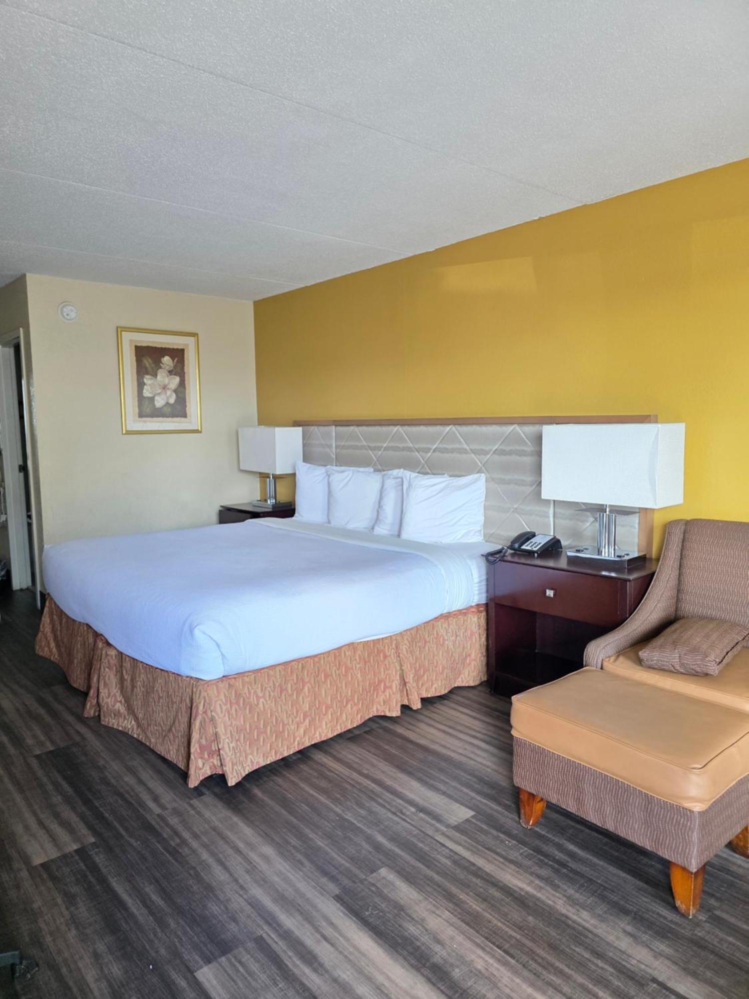 King Room Pet Friendly,1689839489:JPEG